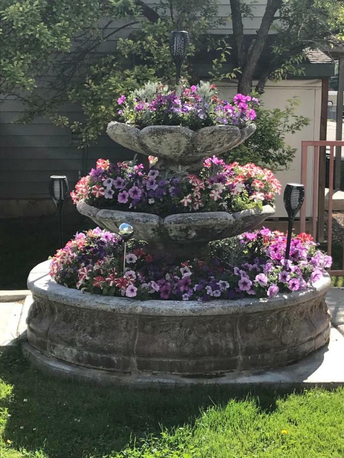 Blue Spruce Inn-Meeker, Colorado エクステリア 写真